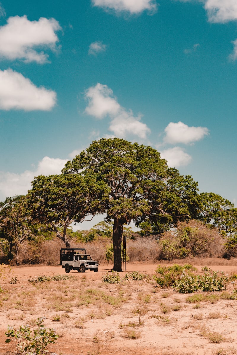 Safari jeep Sri Lanka